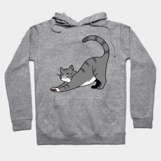 Grey Stripe w/ White Cat Stretch Hoodie